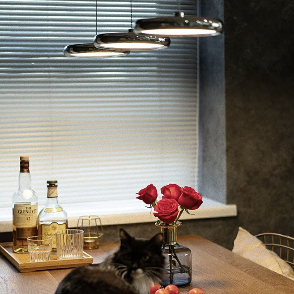 Arisha Minimalist Circular Pendant Light - Letslighting