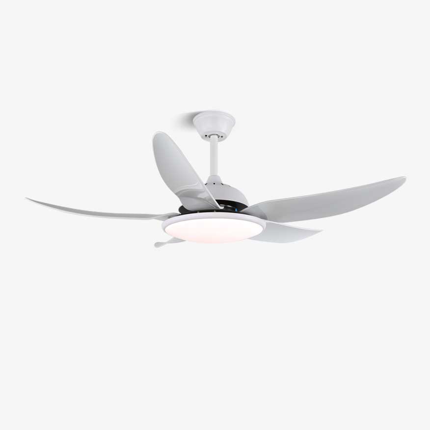 Aquila Modern Ceiling Fan Light - Letslighting