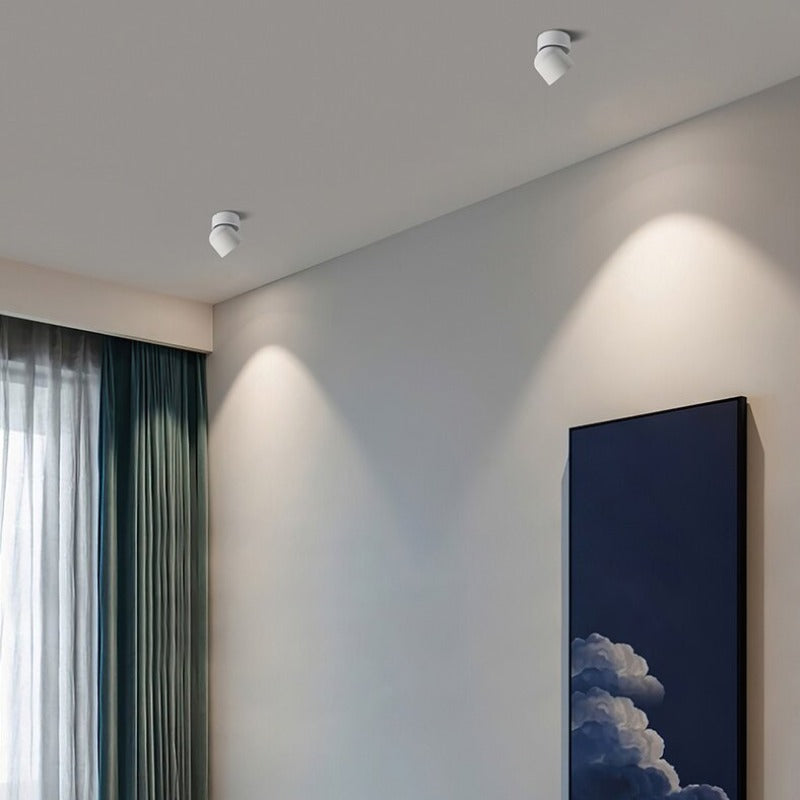 Arisha Modern LED Ceiling Light Spotlight Metal Bedroom
