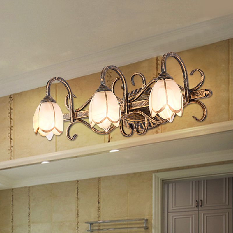Ray Antique Brass Flower Mirror Front Vanity Wall Lamp