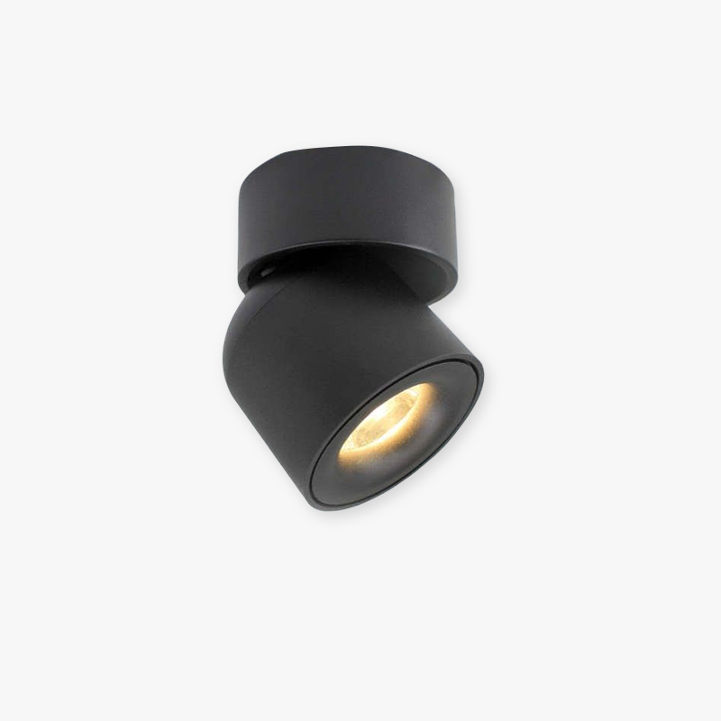 Arisha Modern LED Ceiling Light Spotlight Metal Bedroom