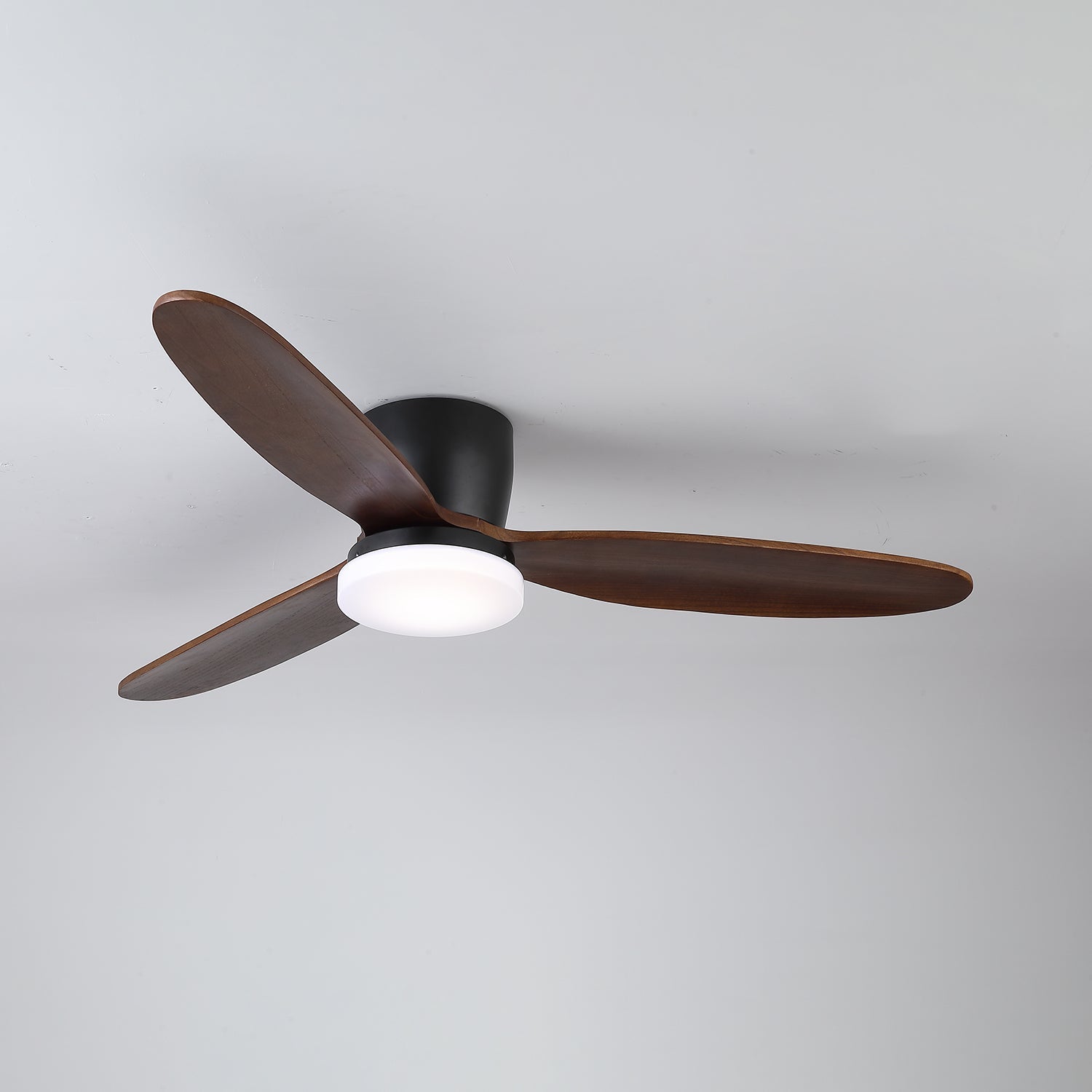 Nocturnus Ceiling Fan Light - Letslighting