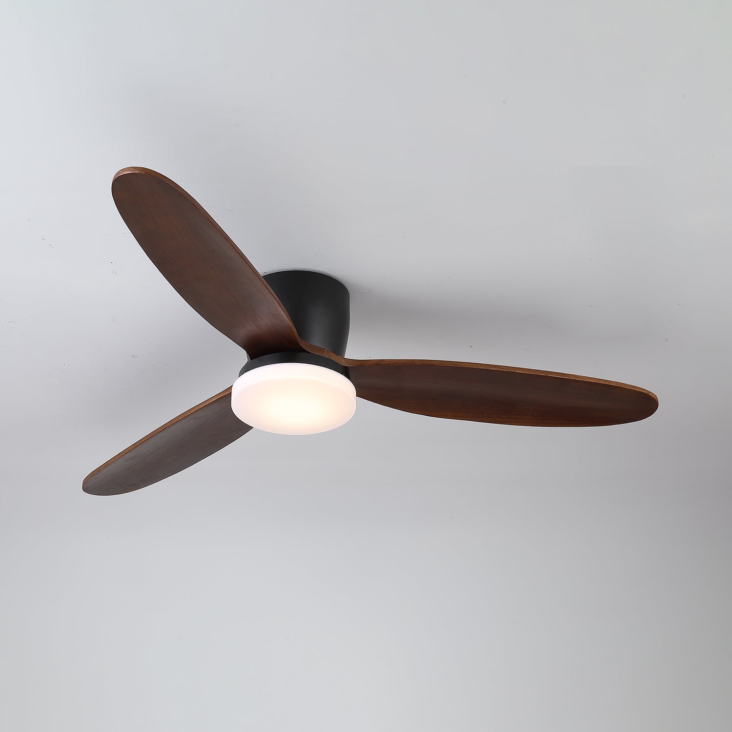 Nocturnus Ceiling Fan Light - Letslighting
