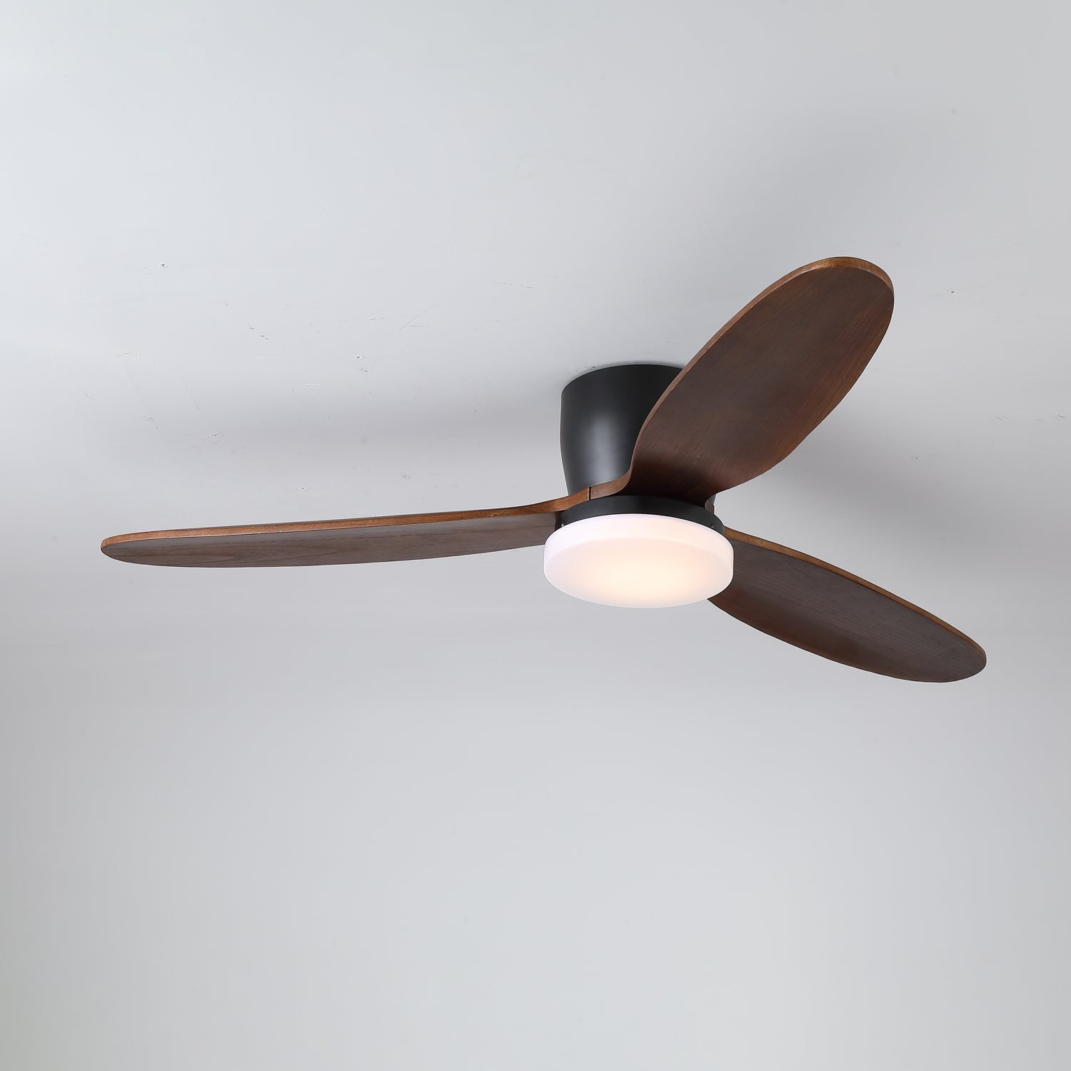 Nocturnus Ceiling Fan Light - Letslighting