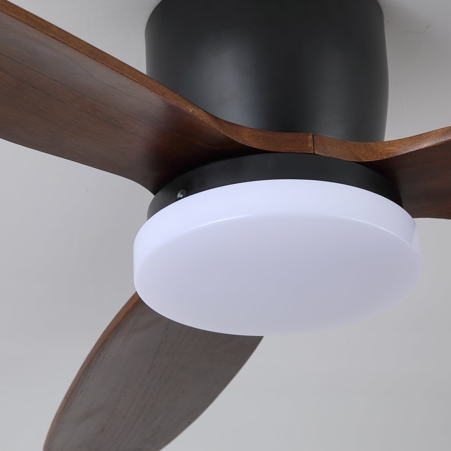 Nocturnus Ceiling Fan Light - Letslighting