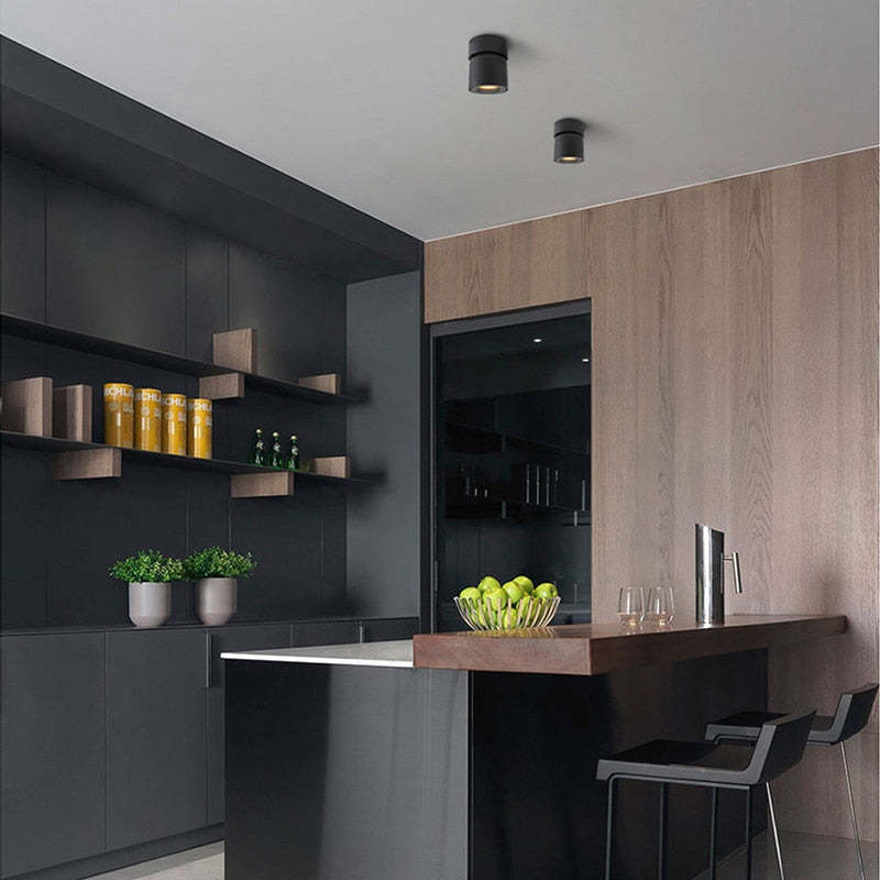 Arisha Modern LED Ceiling Light Spotlight Metal Bedroom