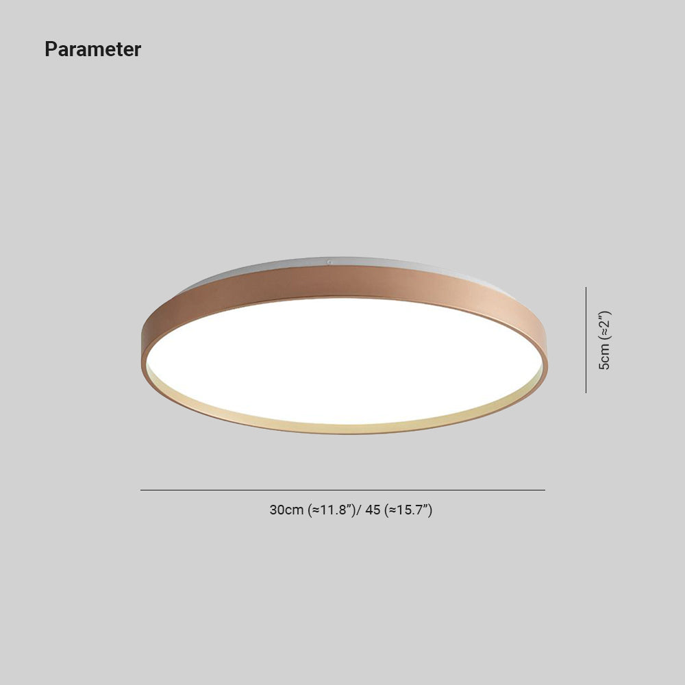 Arisha Minimalist Round Metal Acrylic Flush Mount Ceiling Light