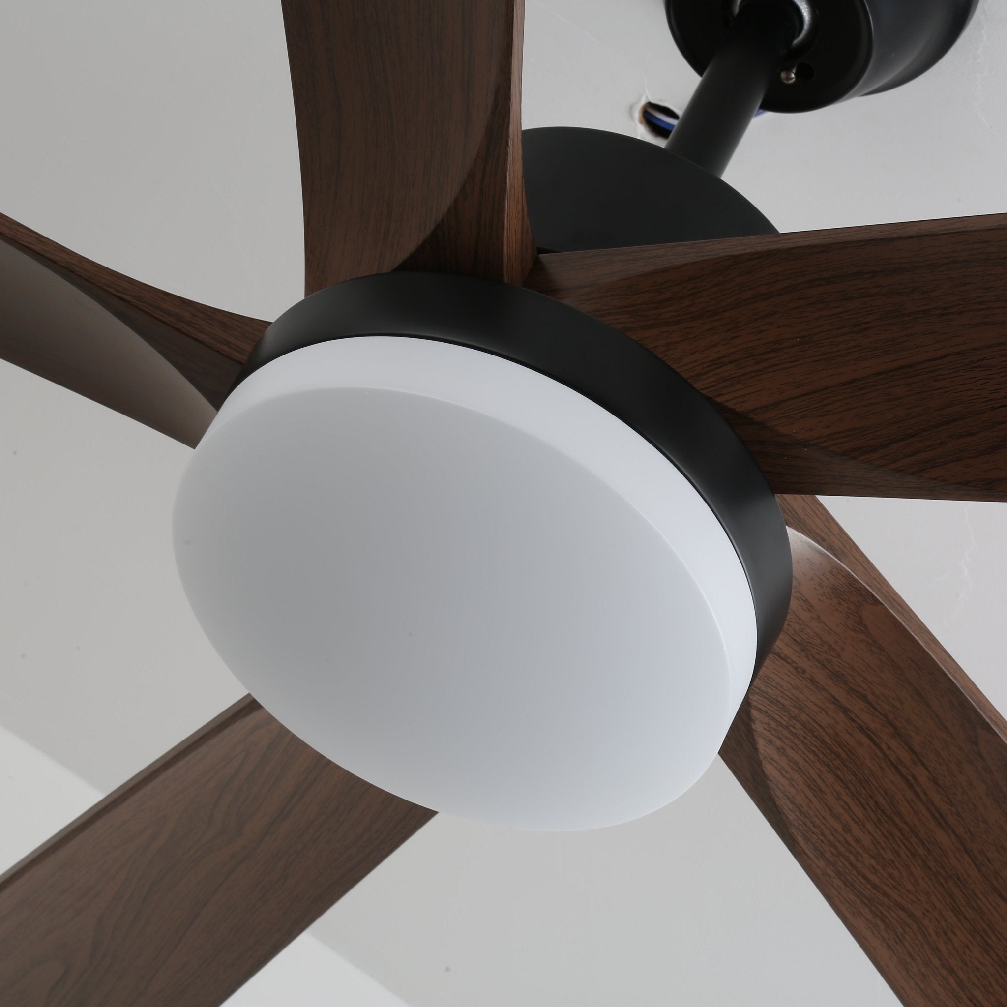 Eryndor Modern Wood Ceiling Fan Light - Letslighting