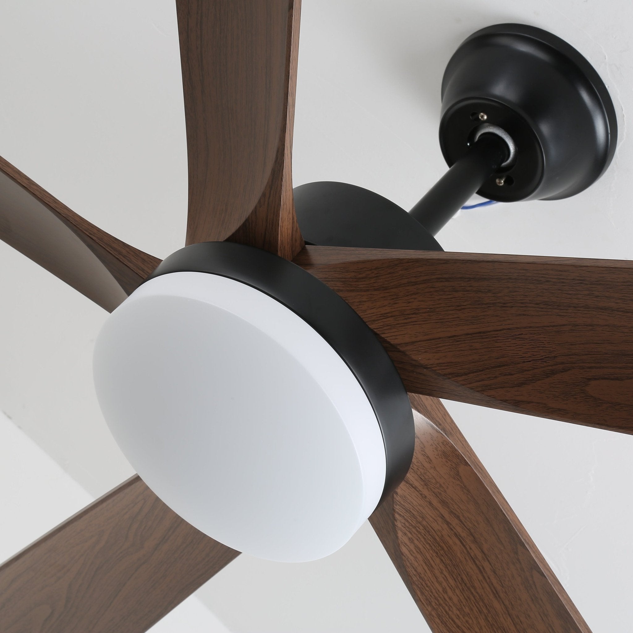 Eryndor Modern Wood Ceiling Fan Light - Letslighting