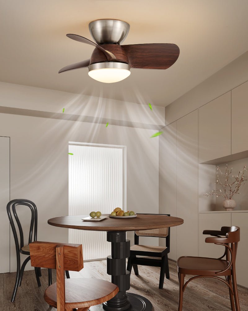 Miroter Ceiling Fan Light - Letslighting