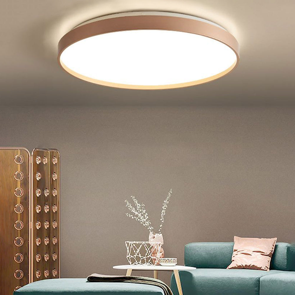 Arisha Minimalist Round Metal Acrylic Flush Mount Ceiling Light