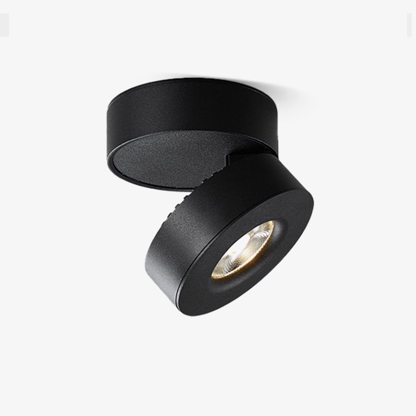 Colorara Modern Minimalist Adjustable Surface Downlight Ceiling lamp - Letslighting