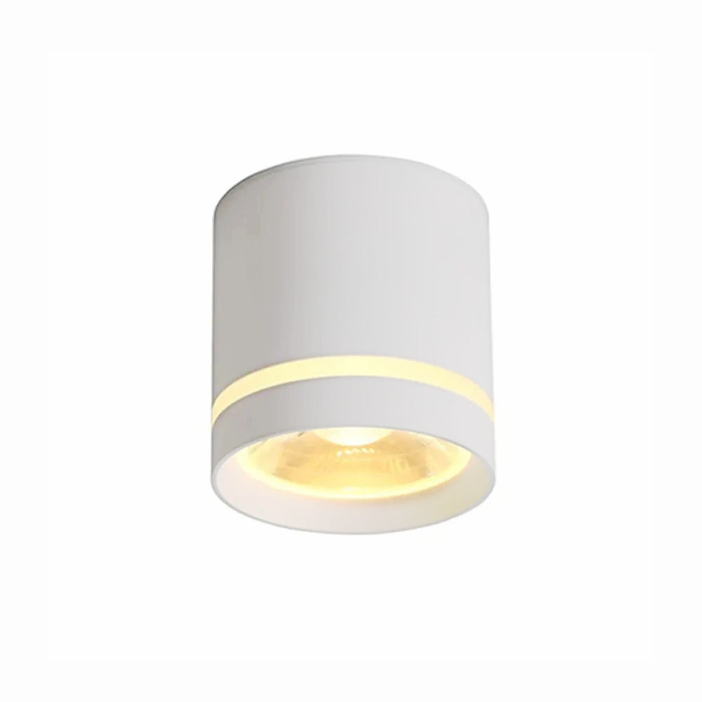 Arisha Ceiling Light Mini Modern Bedroom Living Room - Letslighting