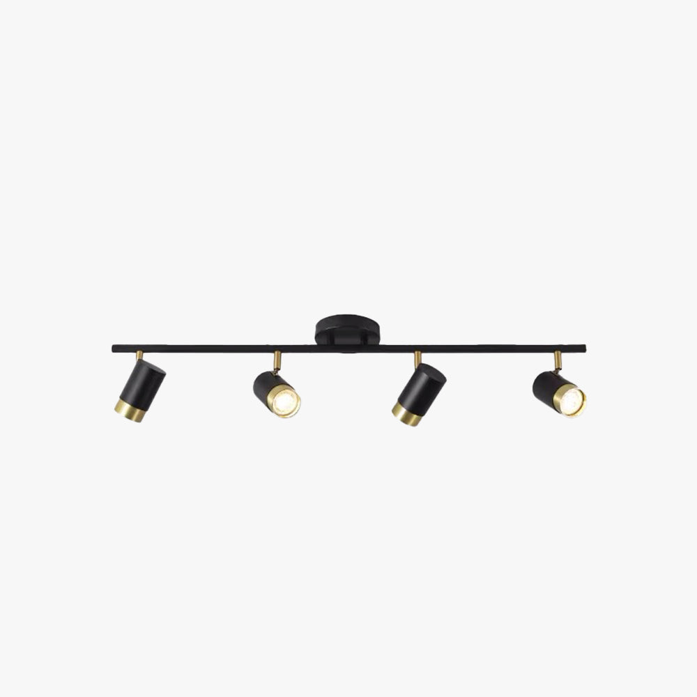 Arisha Semi-Flush Mount Ceiling Light Color Temperature Switchable, 4/5 Head