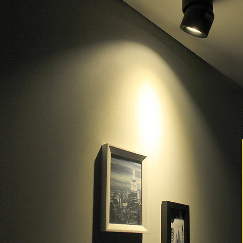 Arisha Modern LED Ceiling Light Spotlight Metal Bedroom