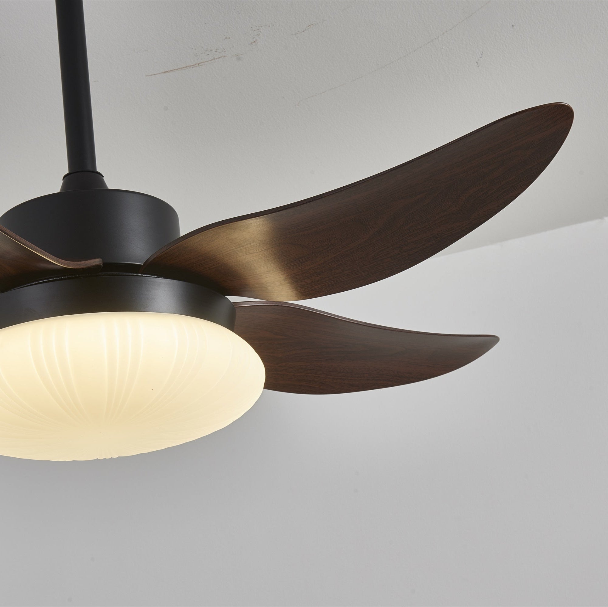 Zerith Modern Wood Ceiling Fan Light - Letslighting