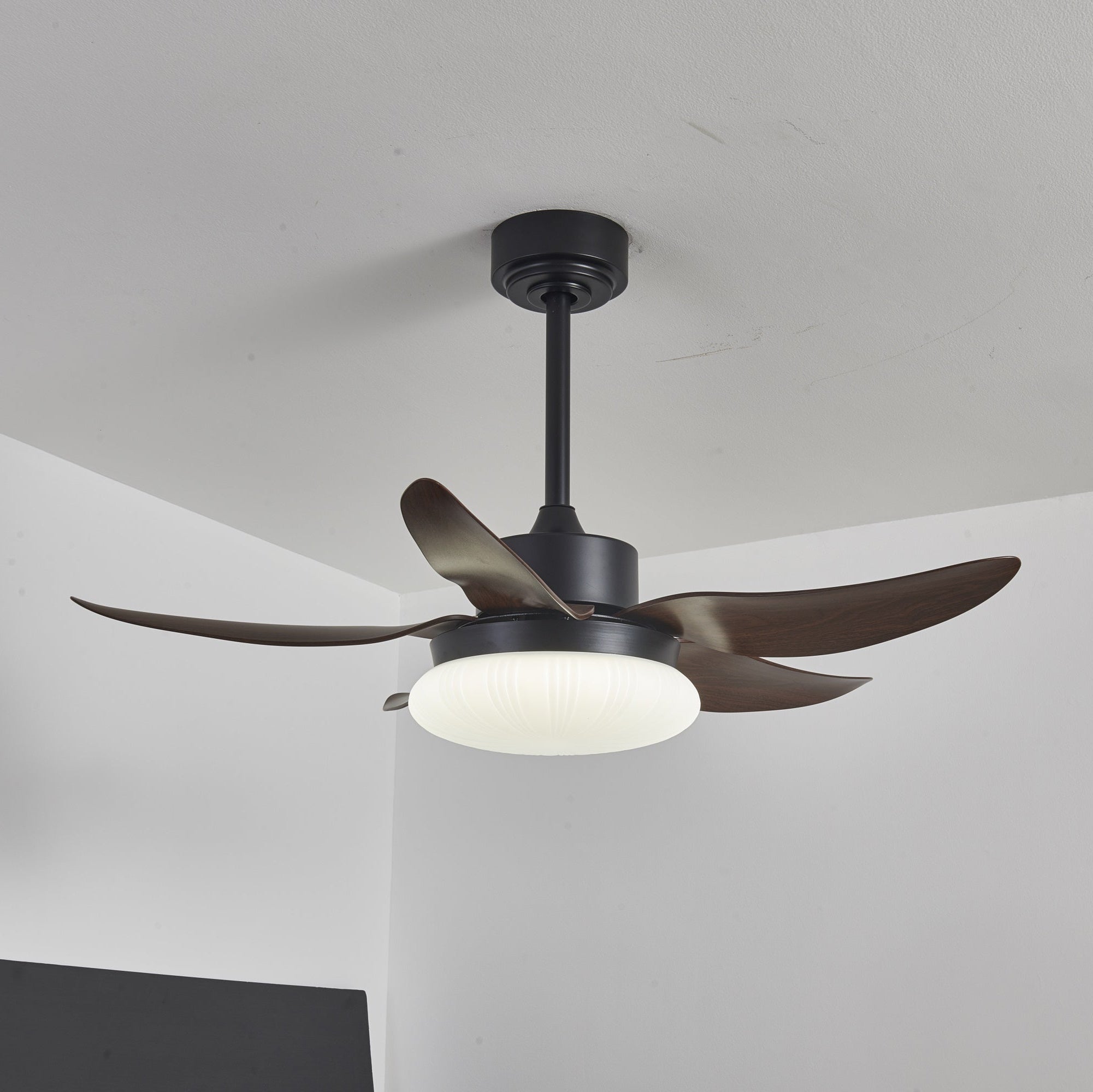 Zerith Modern Wood Ceiling Fan Light - Letslighting