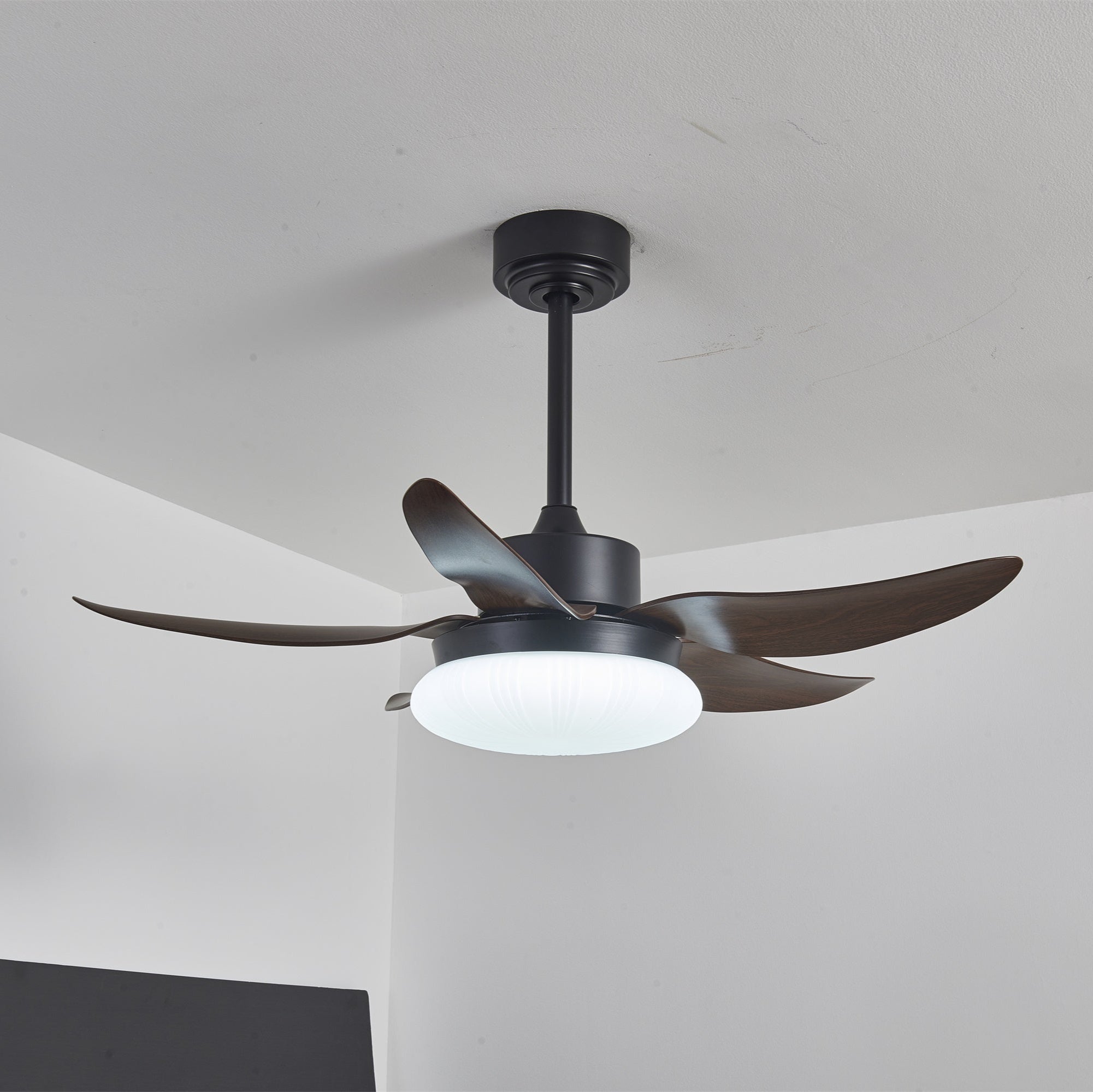 Zerith Modern Wood Ceiling Fan Light - Letslighting