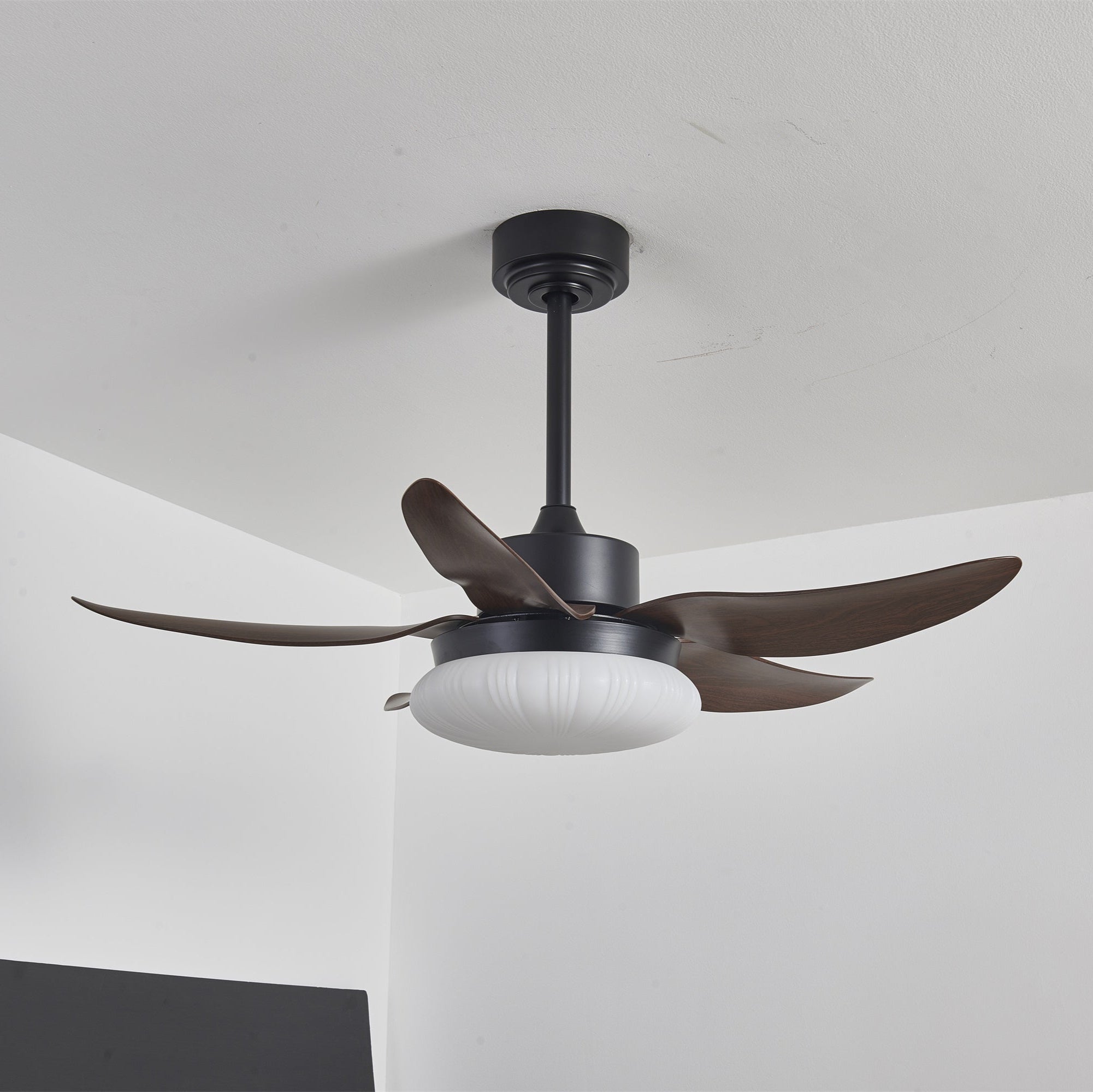 Zerith Modern Wood Ceiling Fan Light - Letslighting