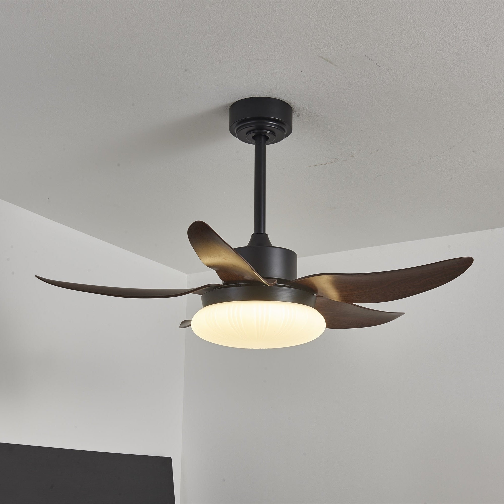 Zerith Modern Wood Ceiling Fan Light - Letslighting
