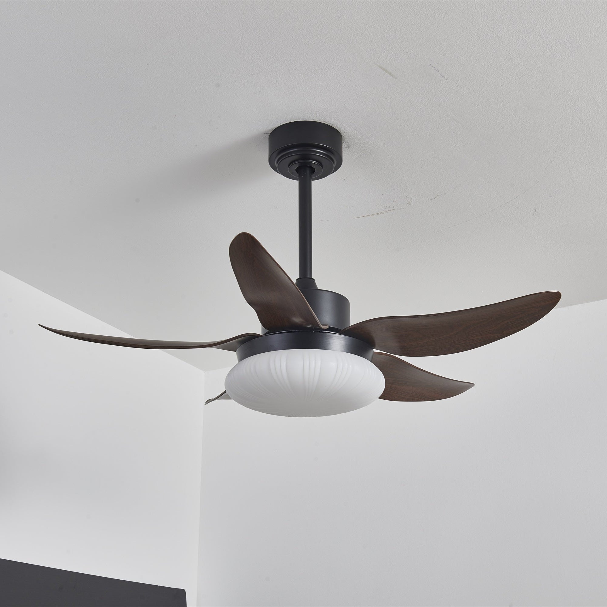Zerith Modern Wood Ceiling Fan Light - Letslighting