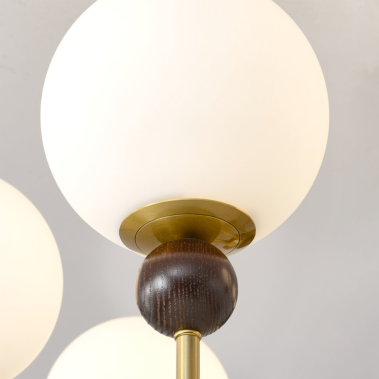 Chandelier Glass Globe Arms Dining Living - Letslighting