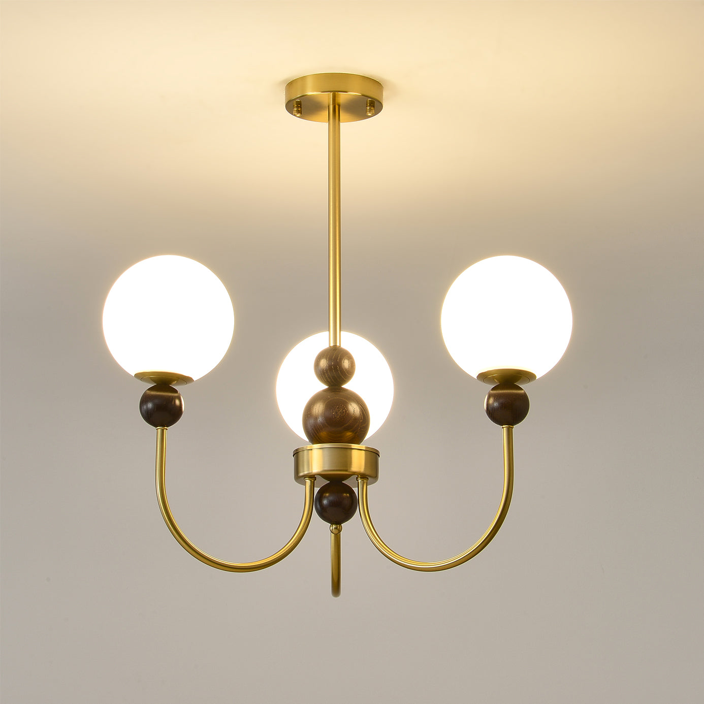 Chandelier Glass Globe Arms Dining Living - Letslighting