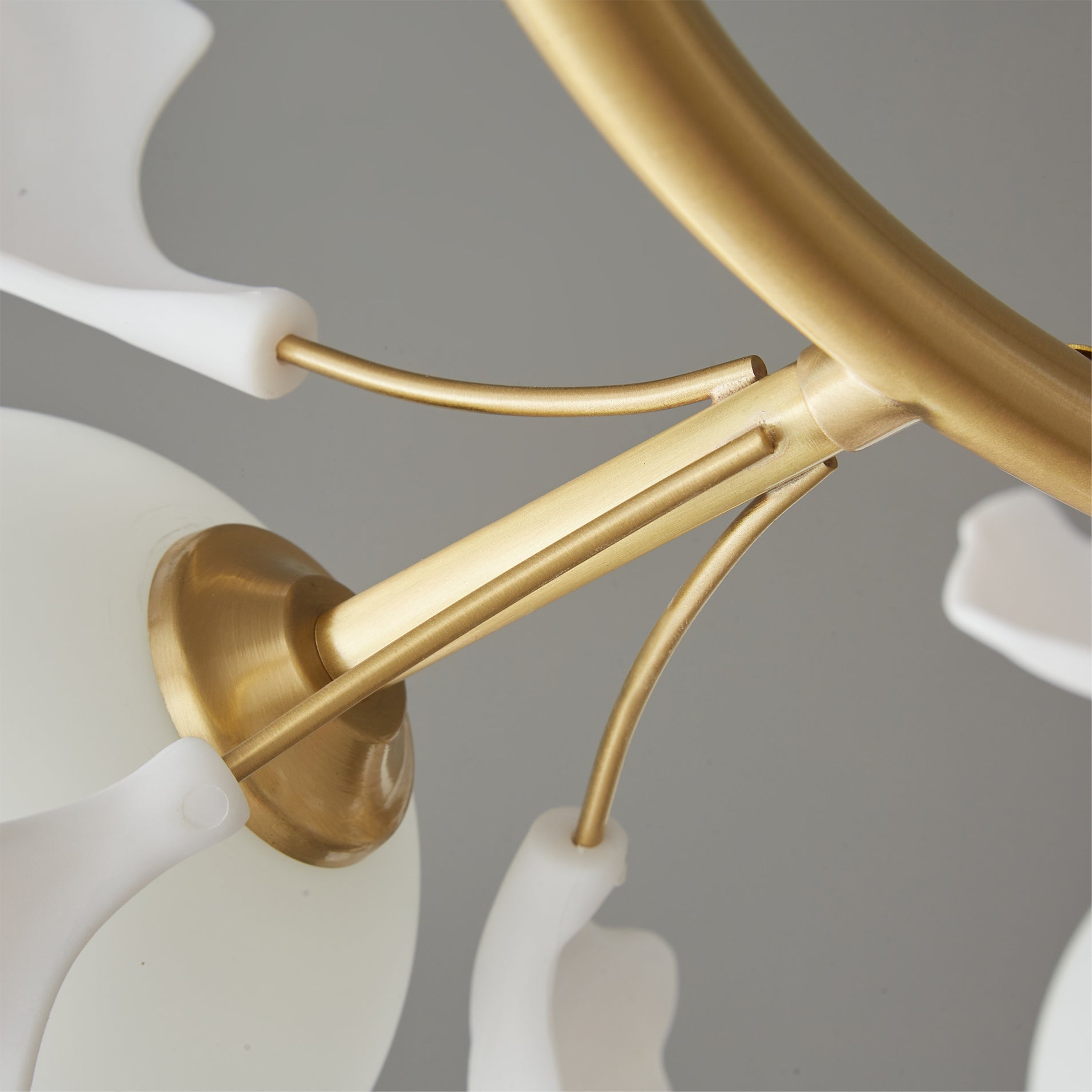 Allanie Gingko Chandelier Round Brass Globe Leaf - Letslighting