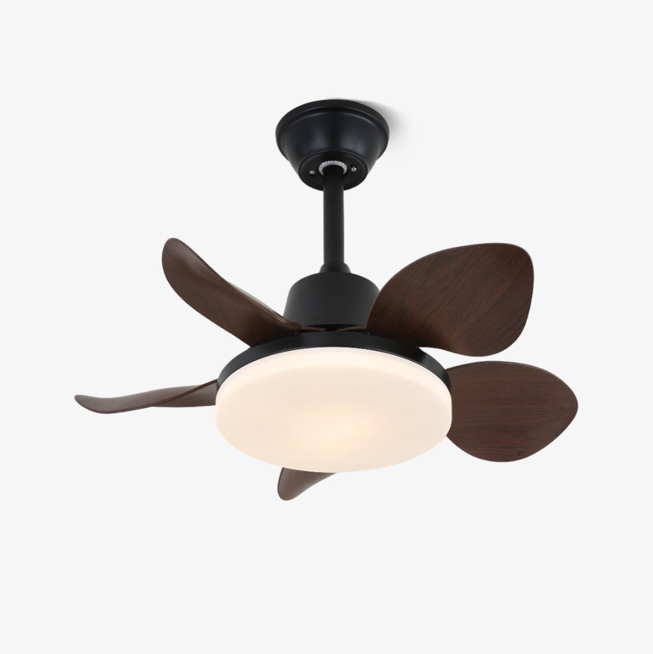 Veyra Modern Wood Ceiling Fan Light - Letslighting