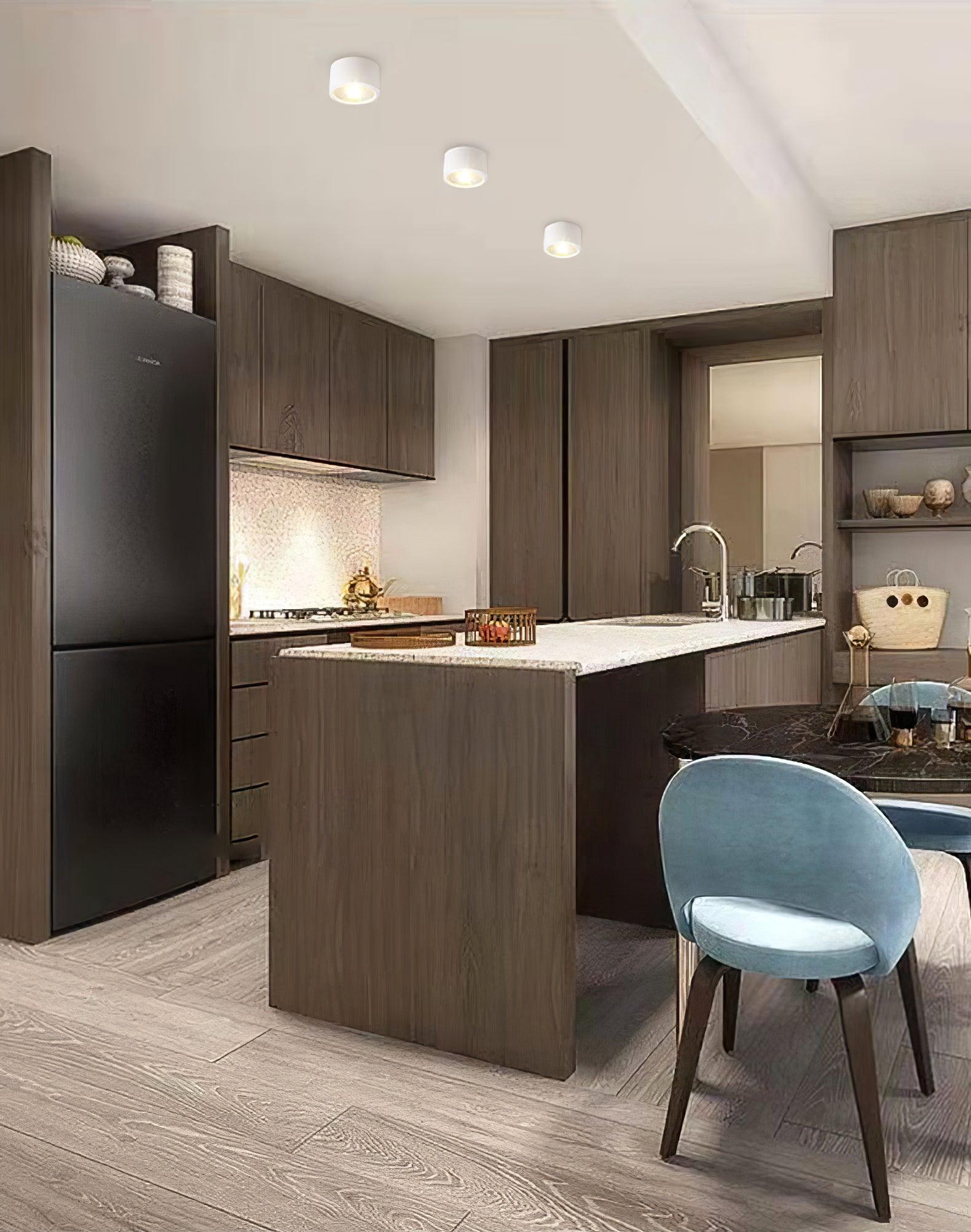 Nero Classic Steel Ceiling lamp - Letslighting