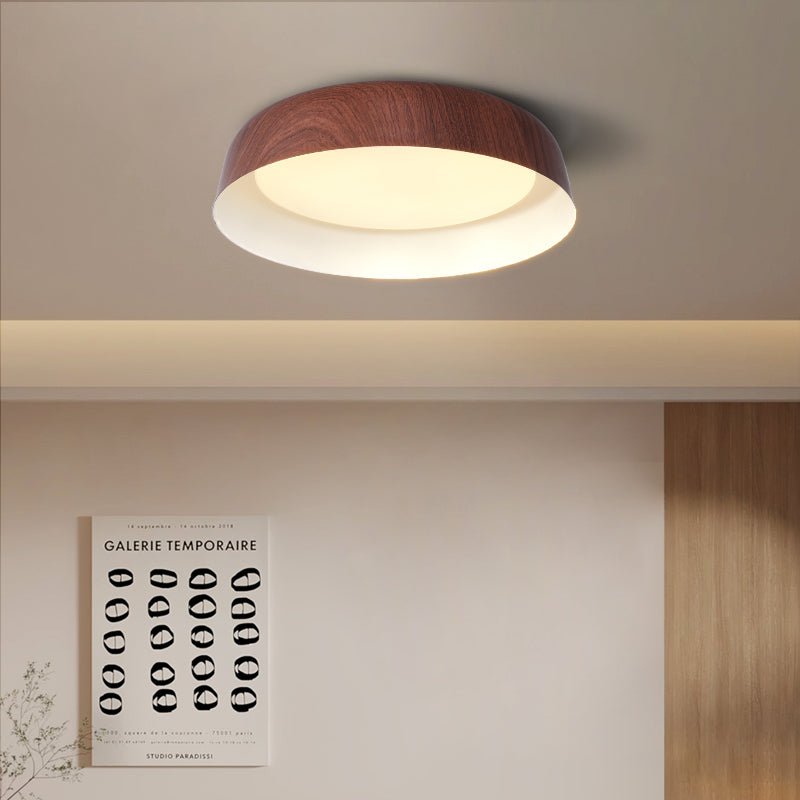 Idorara Modern Minimalist Ceiling Light - Letslighting