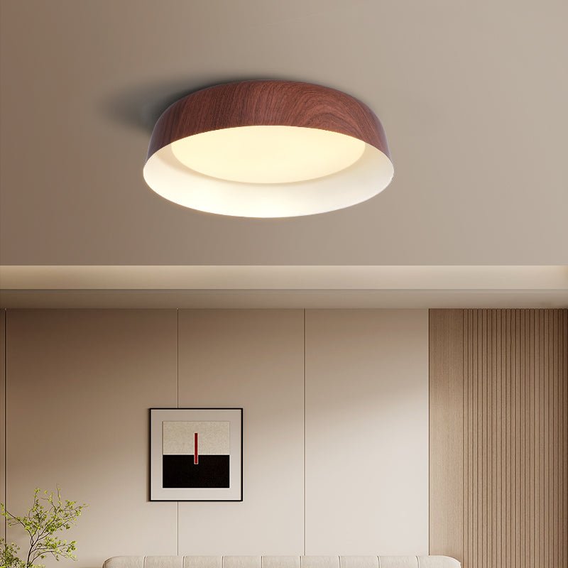 Idorara Modern Minimalist Ceiling Light - Letslighting