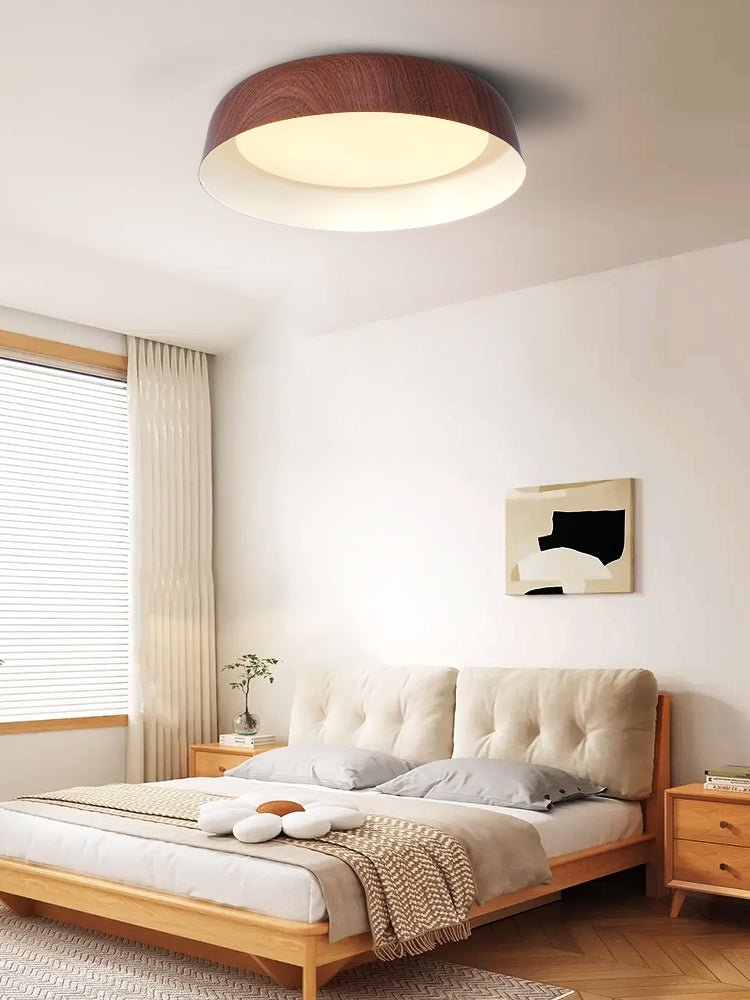 Idorara Modern Minimalist Ceiling Light - Letslighting