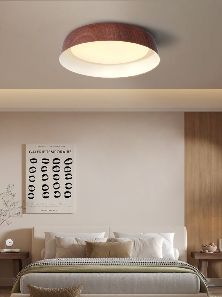 Idorara Modern Minimalist Ceiling Light - Letslighting