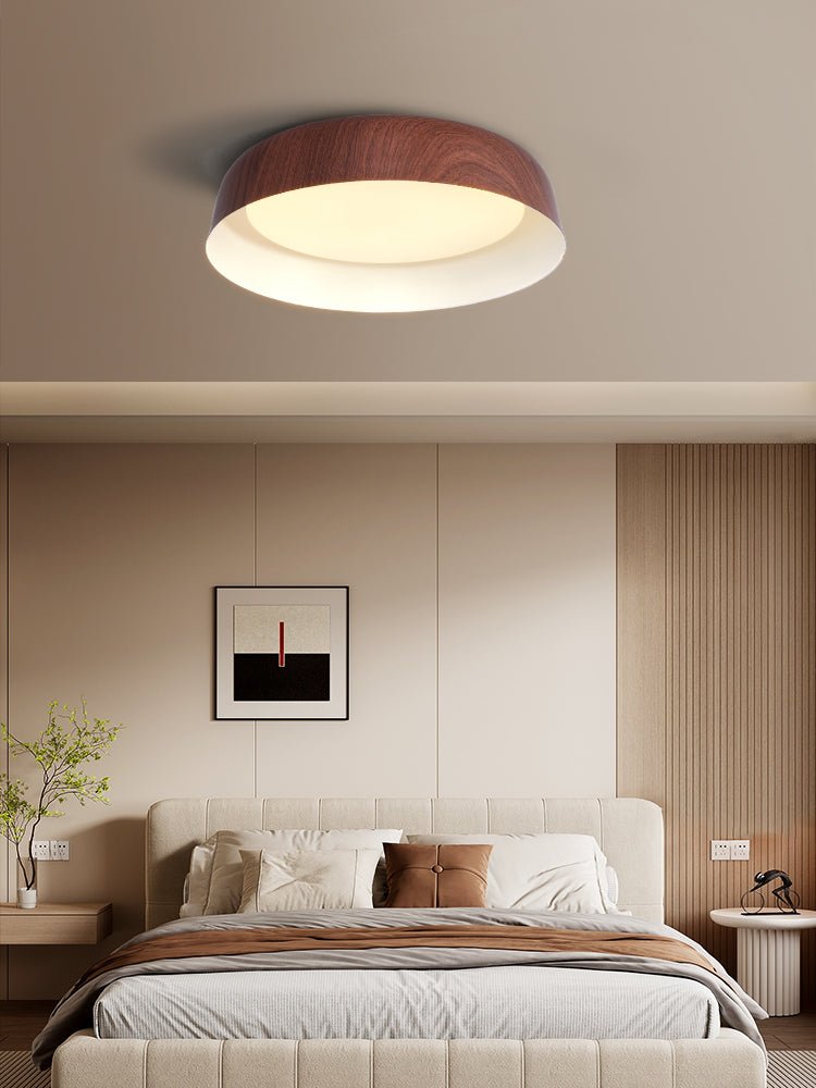 Idorara Modern Minimalist Ceiling Light - Letslighting