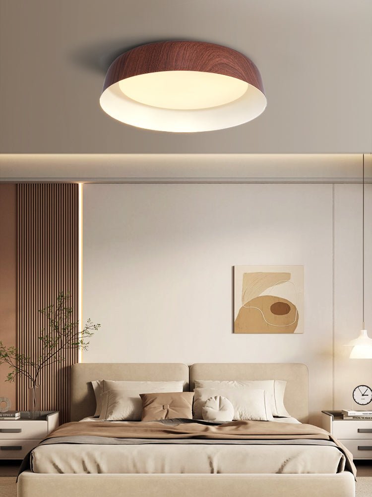 Idorara Modern Minimalist Ceiling Light - Letslighting