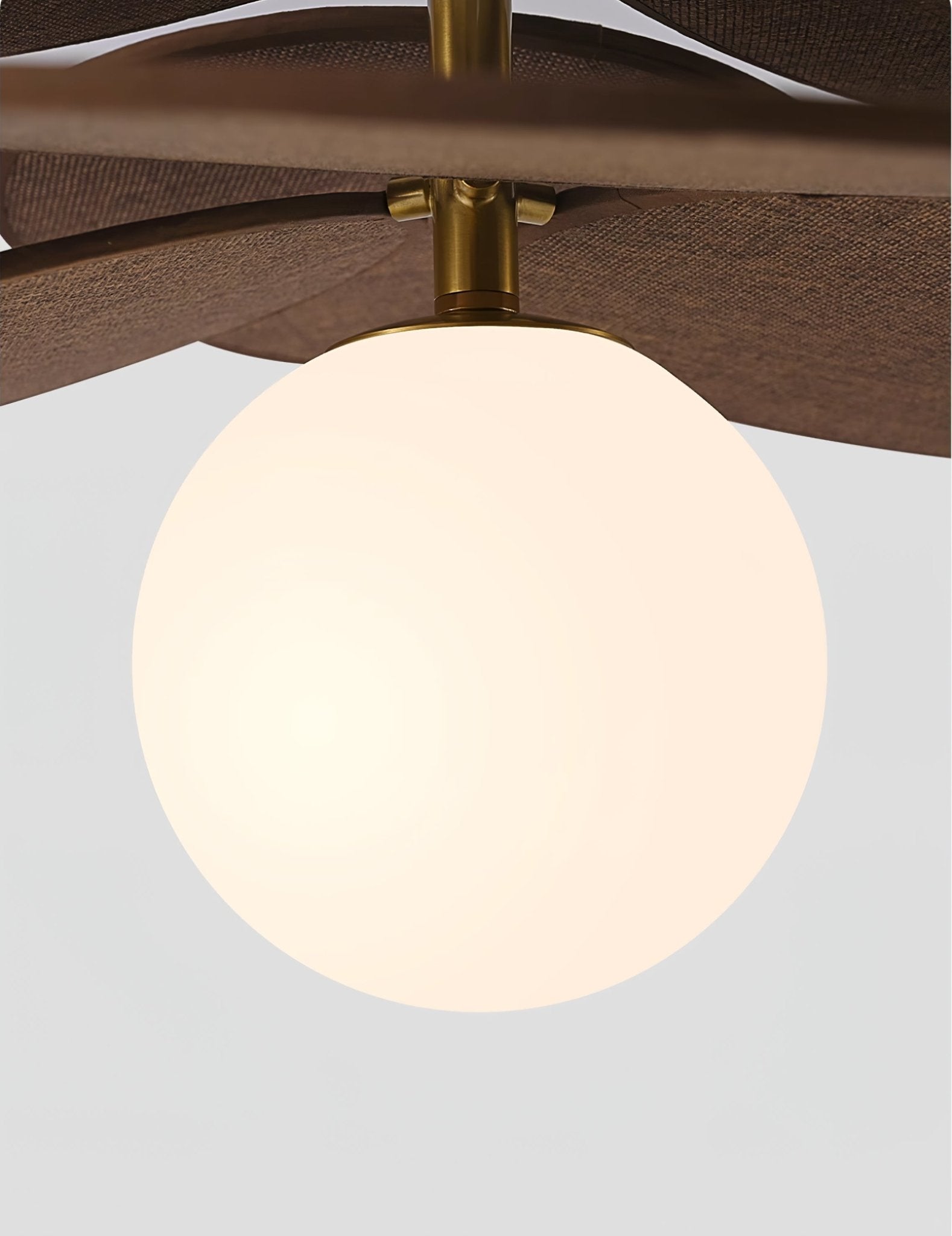 Aurelian Bloom Pendant Light - Letslighting