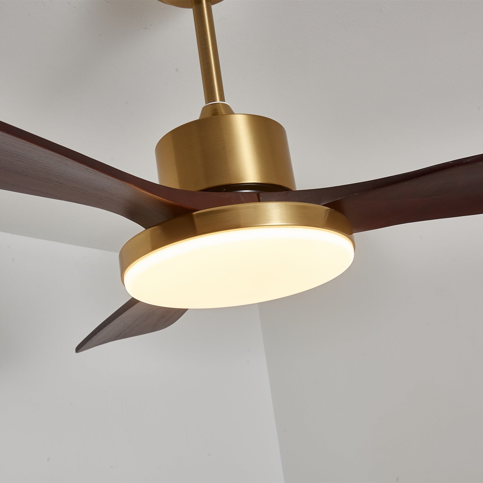Aurelia Modern Wood Ceiling Fan Light - Letslighting