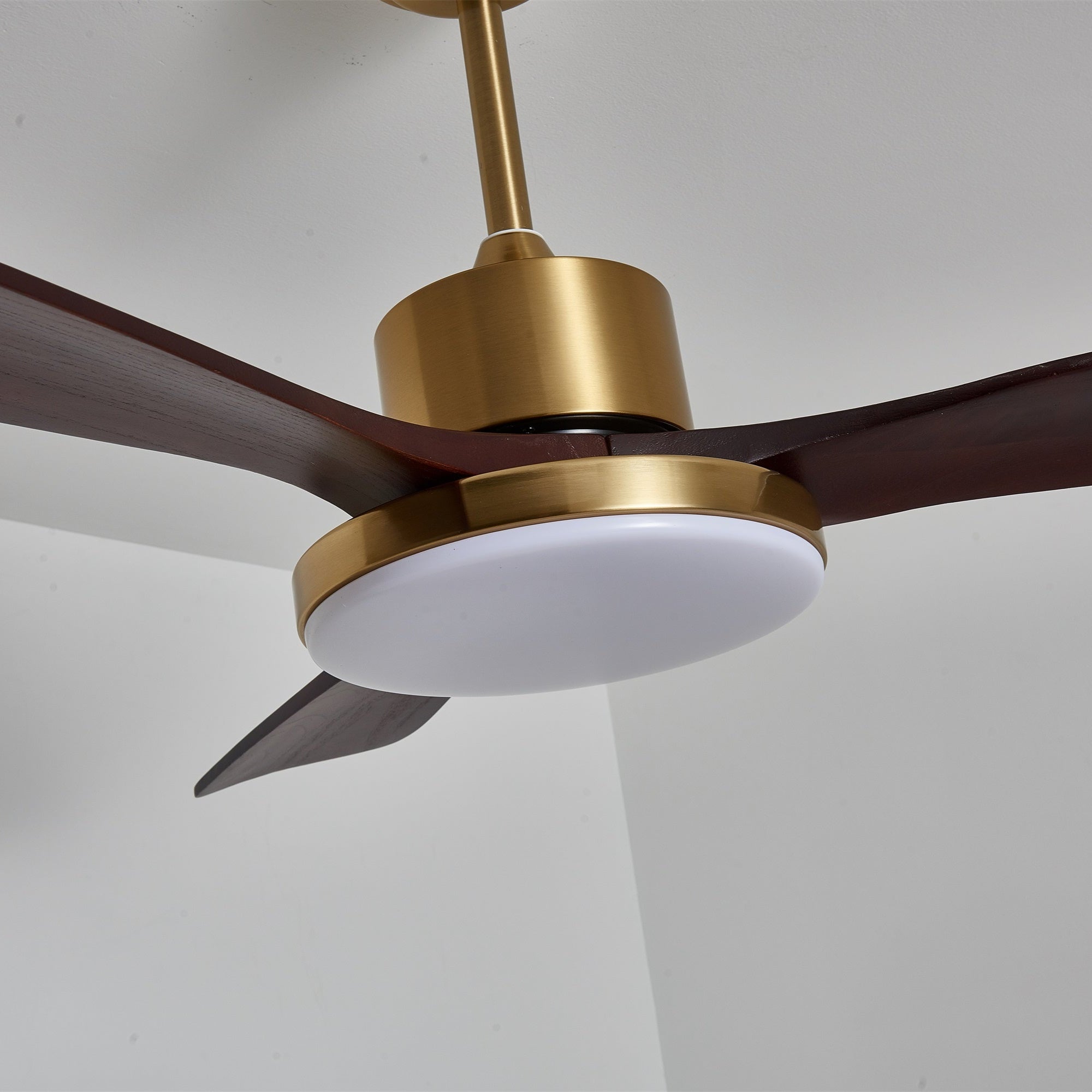 Aurelia Modern Wood Ceiling Fan Light - Letslighting