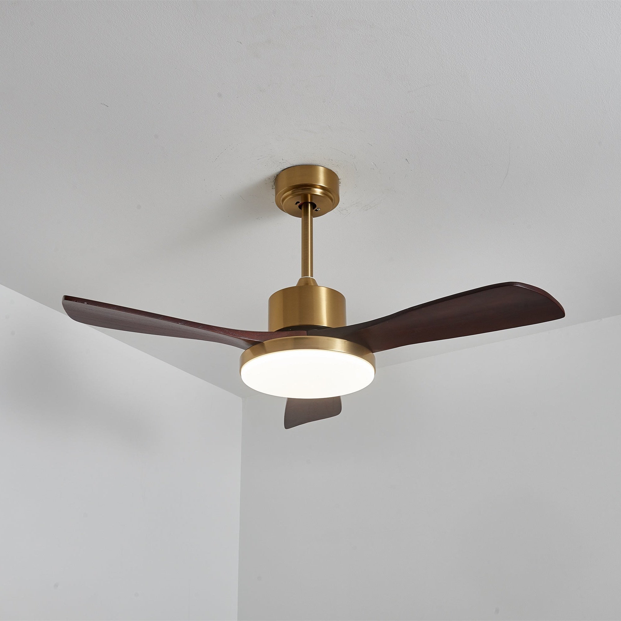 Aurelia Modern Wood Ceiling Fan Light - Letslighting