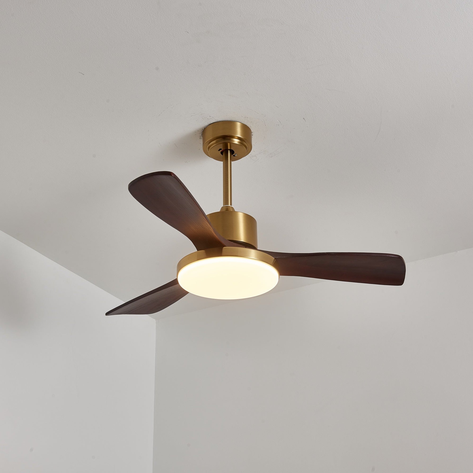 Aurelia Modern Wood Ceiling Fan Light - Letslighting