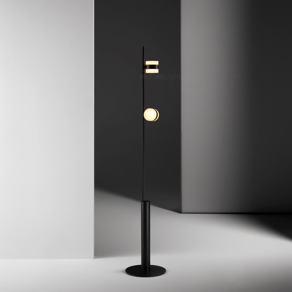 Duoen Black Acrylic Floor Lamp - Letslighting