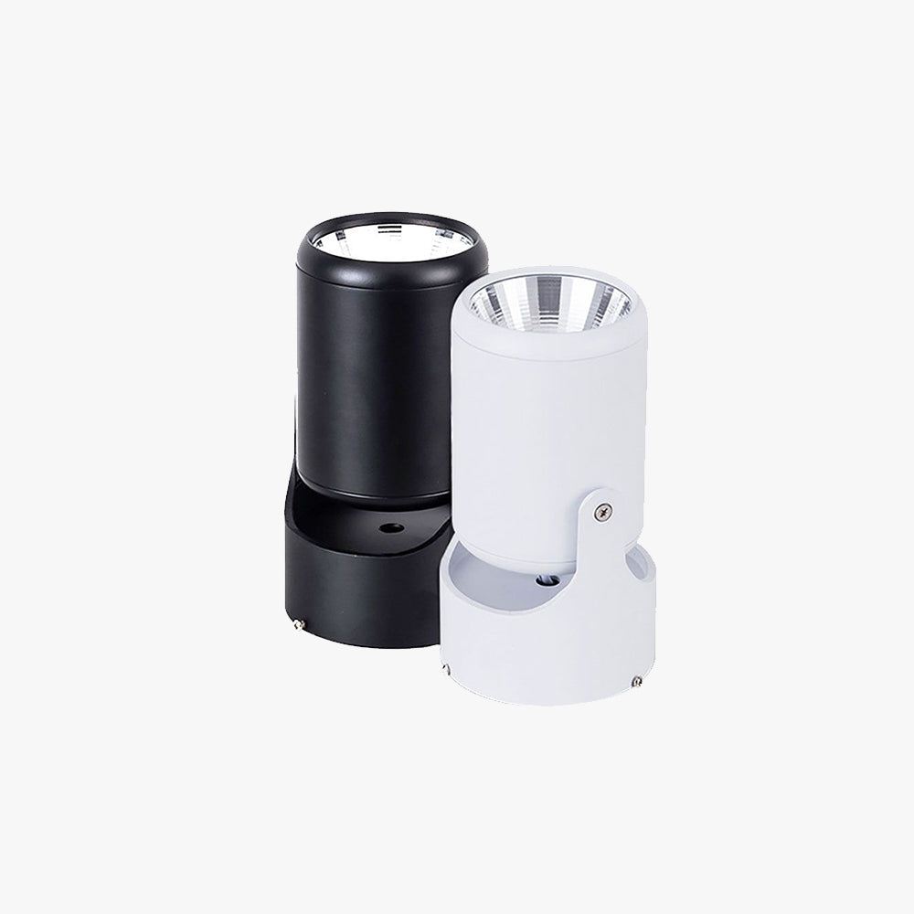 Arisha Simple Rotatable Flush Mount Ceiling LED Spotlight