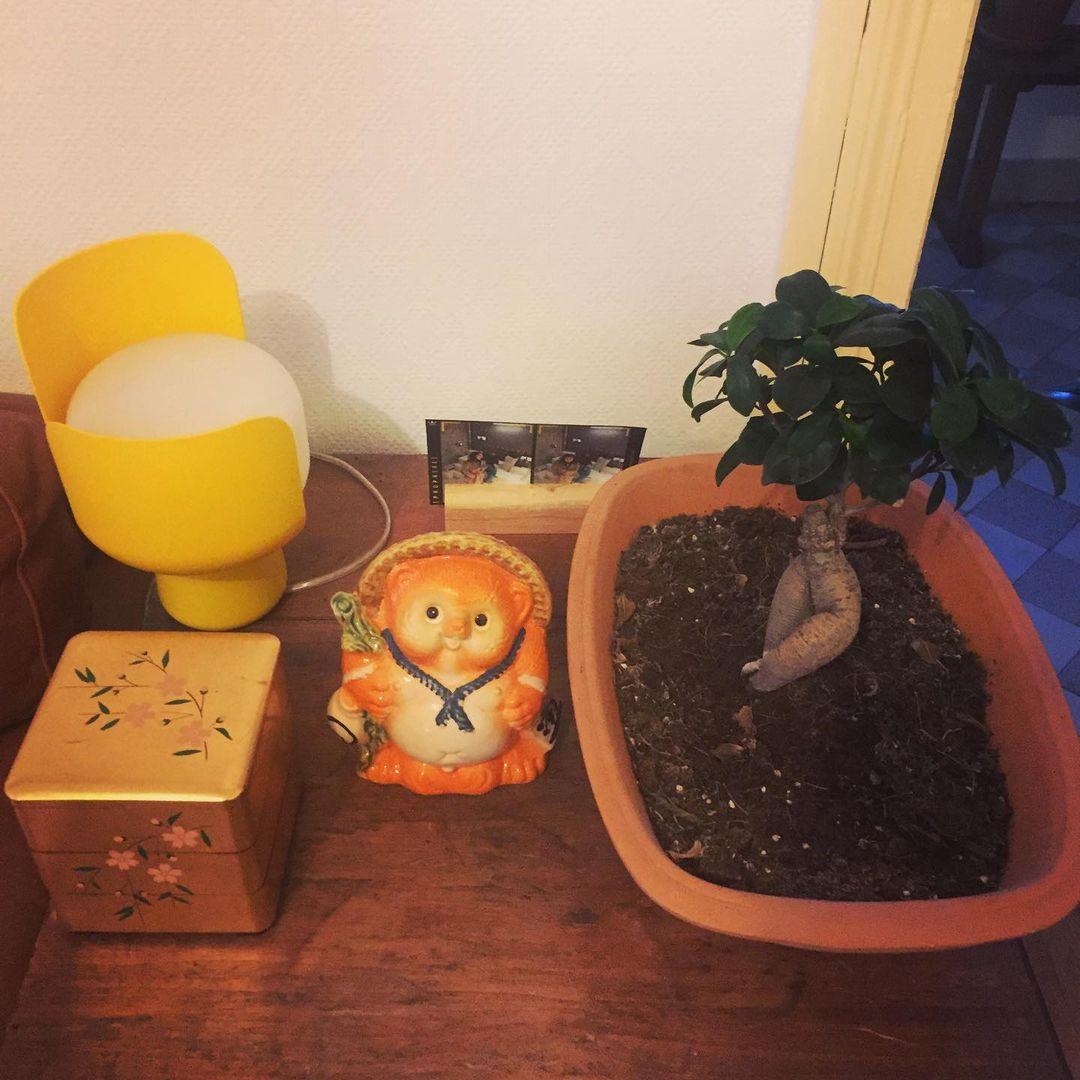 Zuri Plastic Minimalist Table Lamp - Letslighting