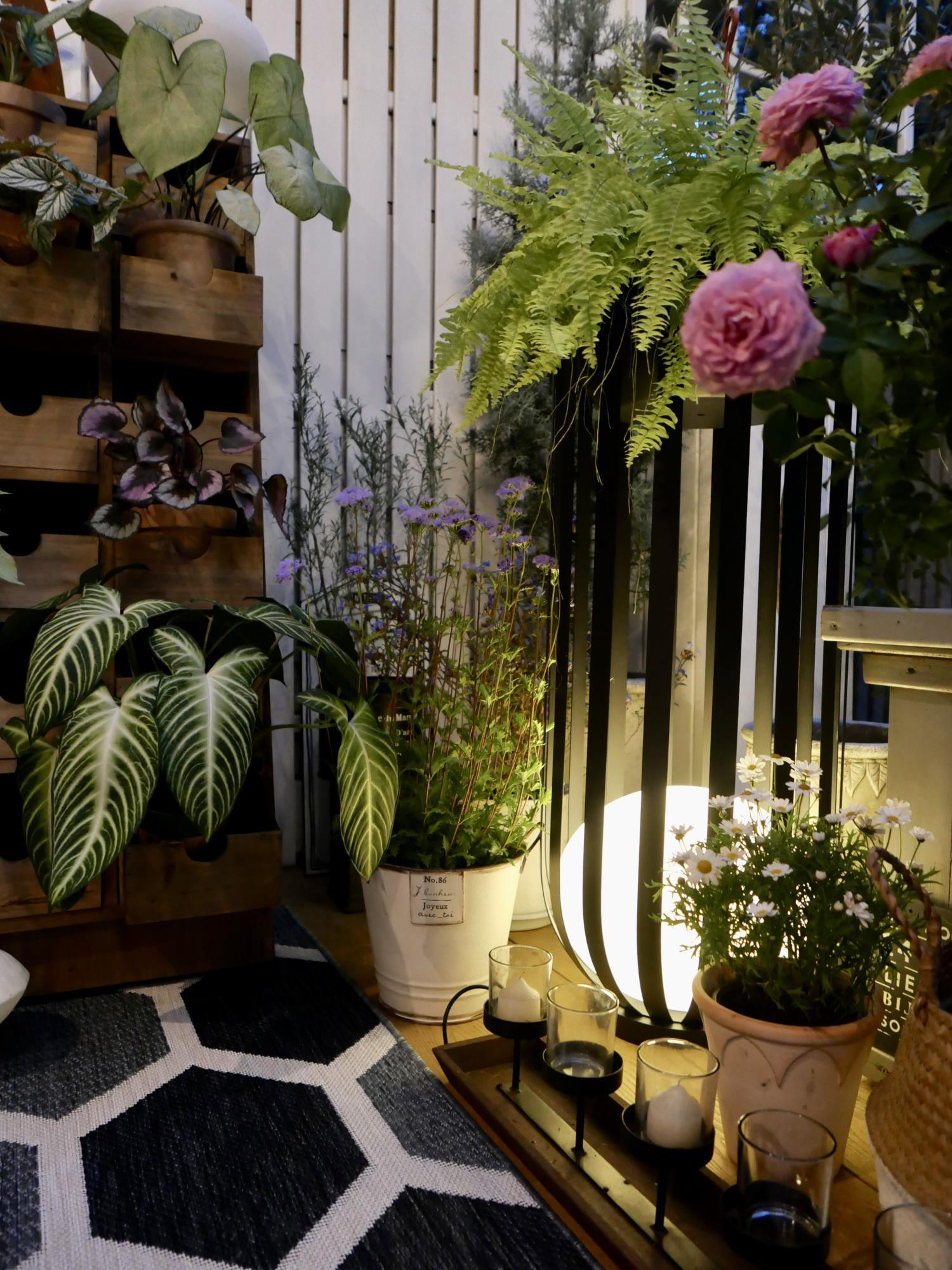 Tera Steel Acrylic Floor Lamp - Letslighting