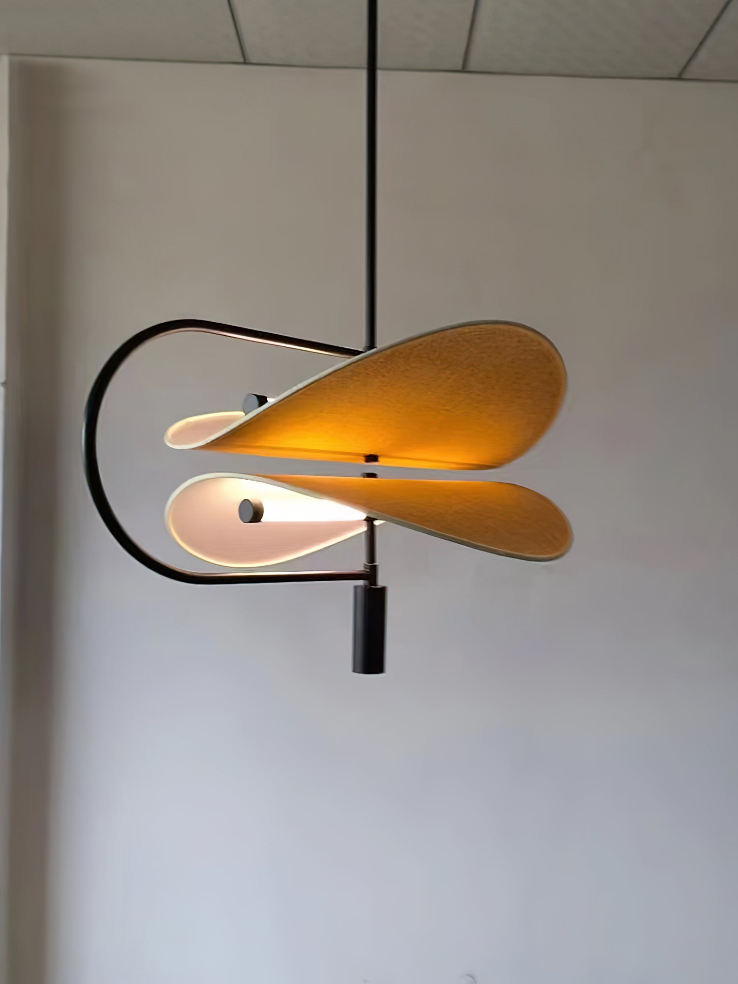 Ildvuvyk Individual Creativity Acrylic Pendant Light - Letslighting