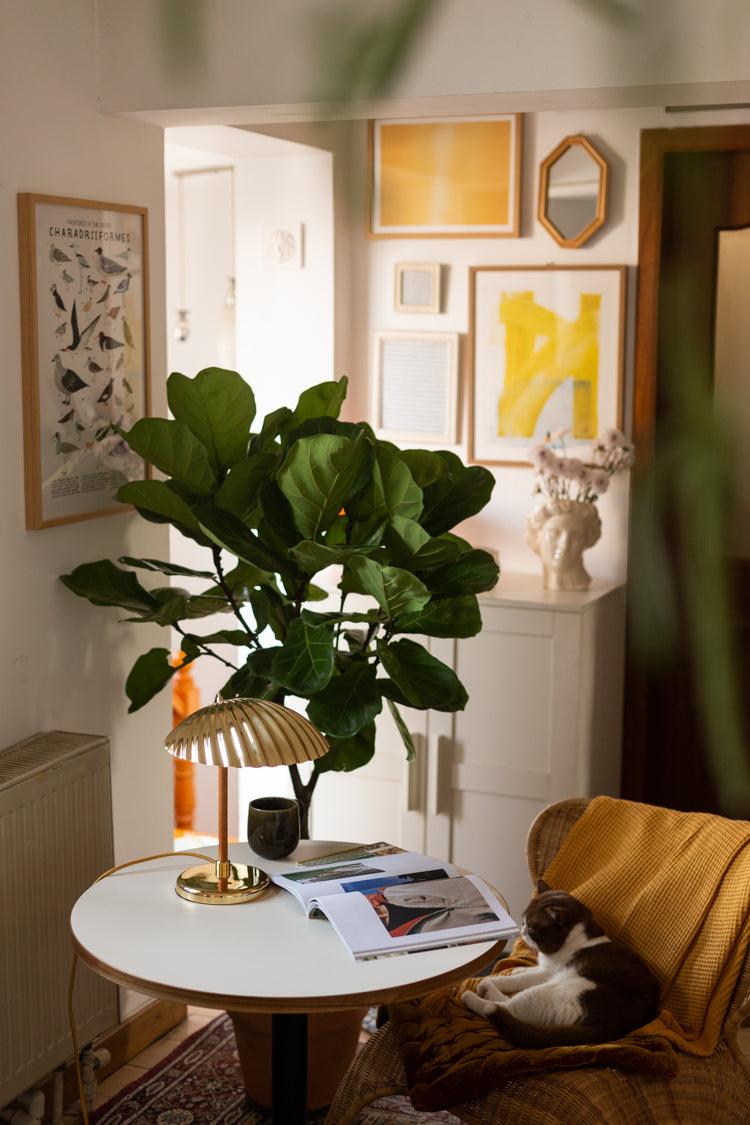 Zorare Brass Glam Table Lamp - Letslighting