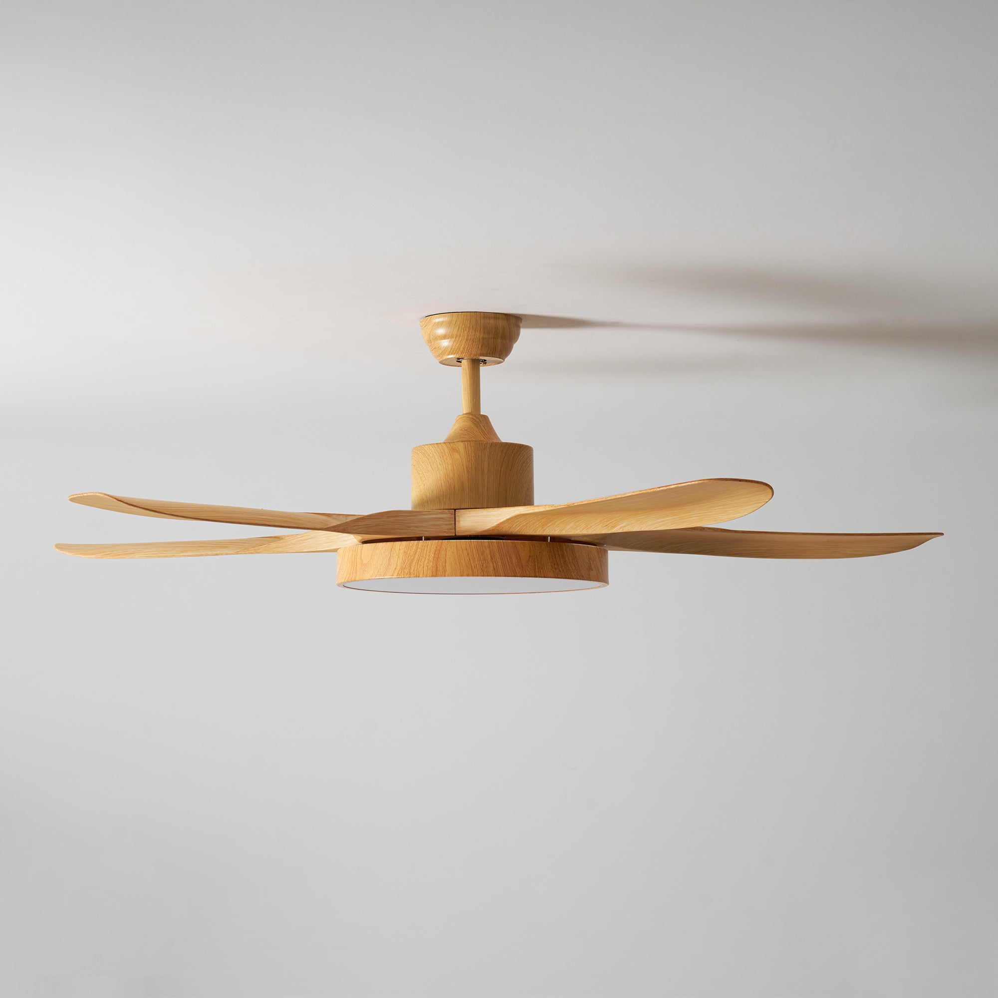 Fusion Premium Natural Acrylic Ceiling Fan Light - Letslighting