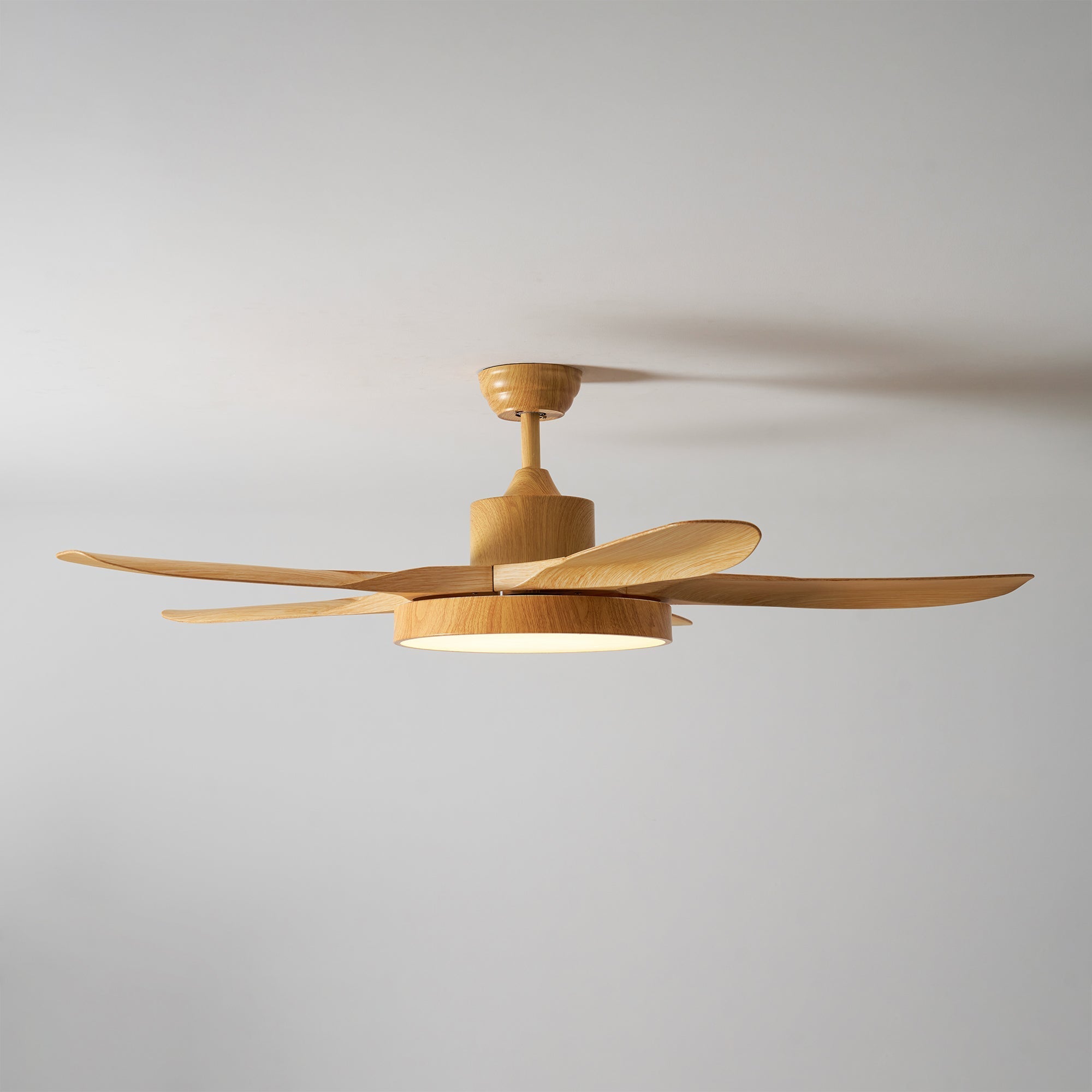 Fusion Premium Natural Acrylic Ceiling Fan Light - Letslighting