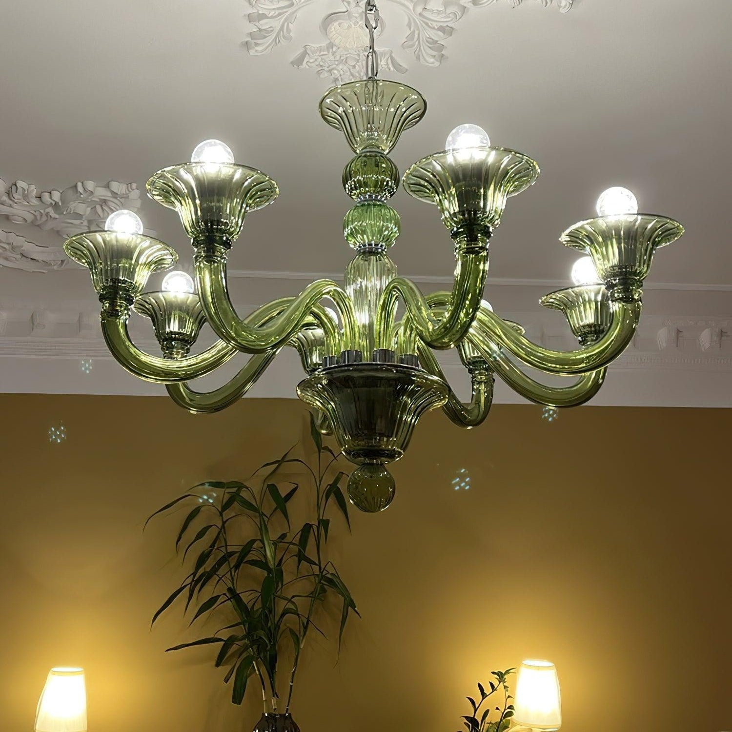 Aurora Chandelier Murano Glass Exotic - Letslighting